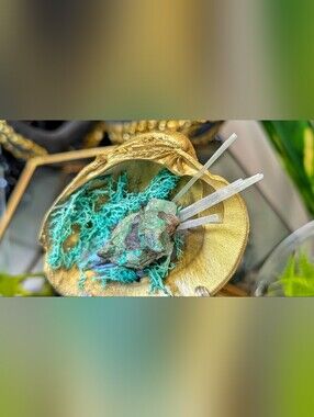 Emerald & Selenite Crystals in Moss Gold Seashell (stand Included)